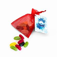 Organza Bag - Jelly Beans