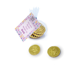 Volunteer's Week Gold Chocolate Coins in a net bag
